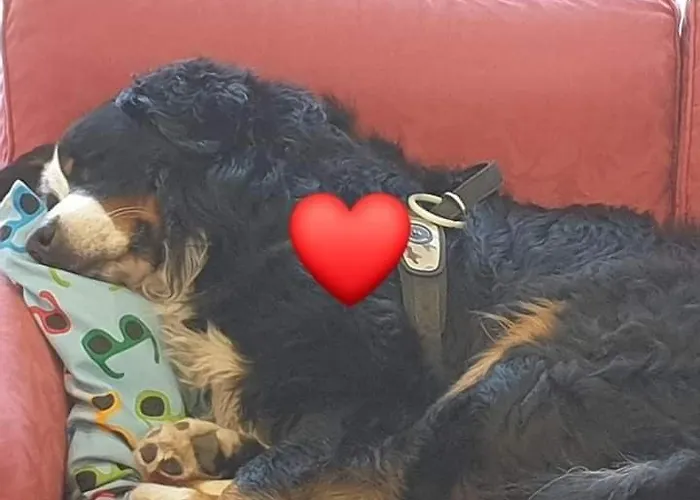 Lejlighed Magyartenger *